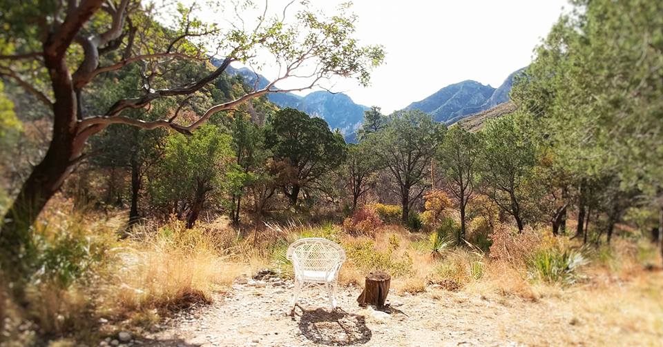 25498208_10155908581609188_2248504185104373730_n